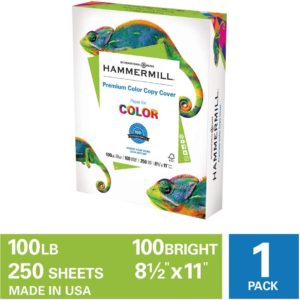 Hammermill-100lbCover